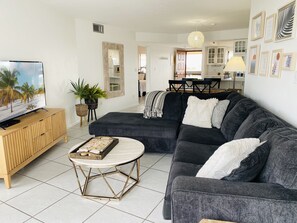 TV, DVD player, books, video library