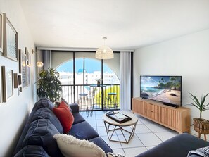 Téléviseur, lecteur de DVD, livres, sélection de films