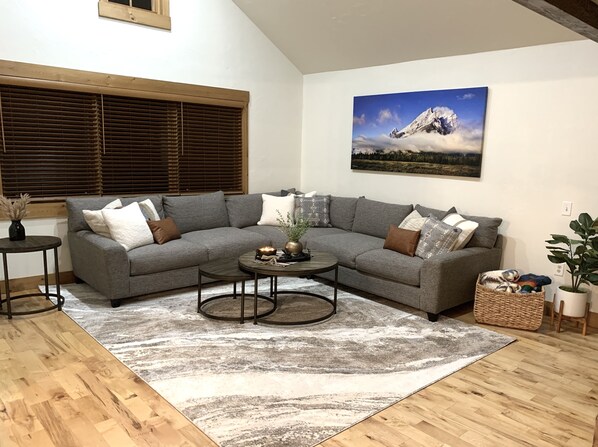 Smart TV, fireplace, books
