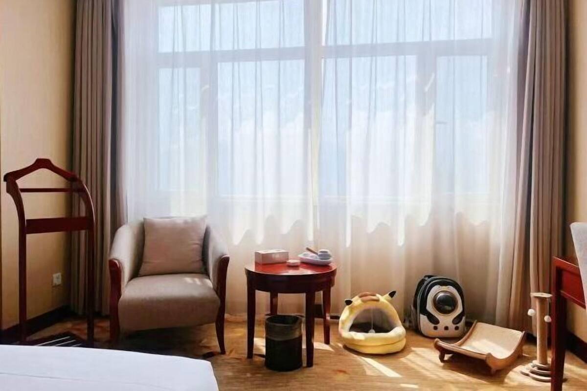 A hotel room with a bed, a chair, a small table with items, a trash bin, a cat bed, and a cat toy.