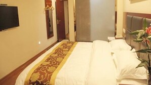 Een hotelkamer met een bed, een televisie, een spiegel, een deur en een plant.