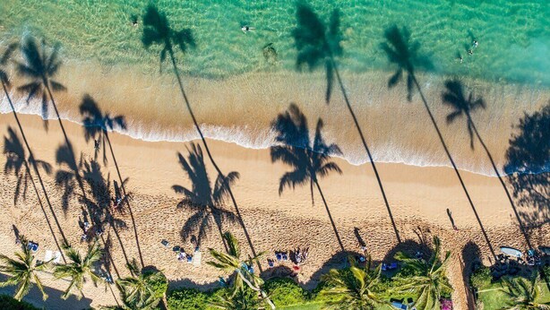Vista aérea de una playa con aguas turquesas cristalinas, palmeras y gente disfrutando.