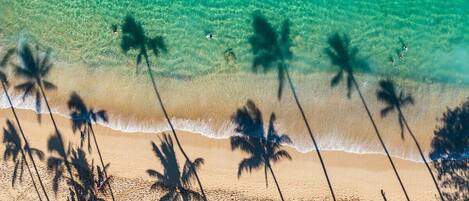 海灘、躺椅、沙灘巾