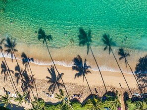 Plage, chaises longues, serviettes de plage