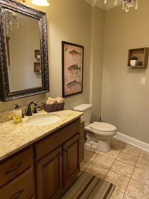 Une salle de bain avec un lavabo sur un comptoir en granit, des armoires en bois, un grand miroir, une illustration encadrée représentant un poisson, des toilettes et une petite étagère avec une plante.