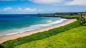 Eine Küstenlandschaft mit Strand, viel Grün und blauem Himmel.