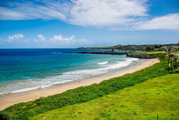 Plage à proximité