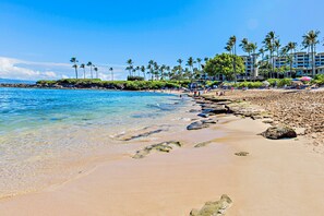 A beach with clear water, palm trees, and a hotel in the background.
