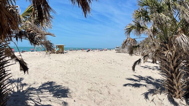 En strand med palmer, ett badvakts torn och parasoller.
