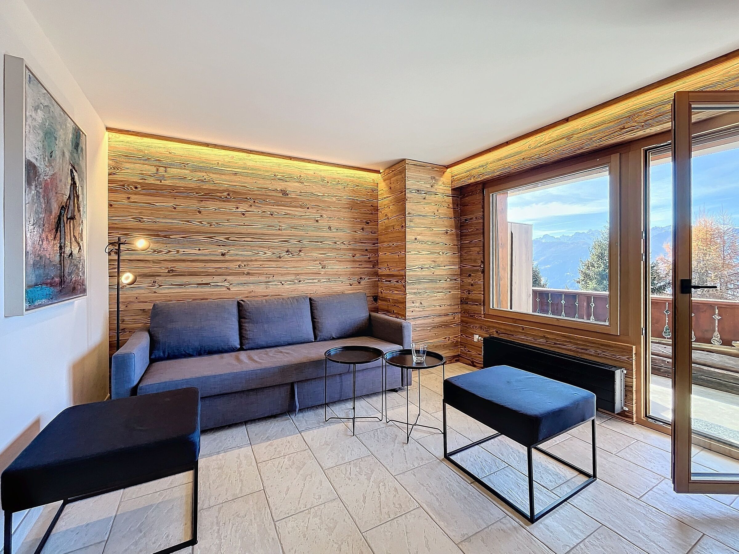 Tv, pejs, dvd-afspiller