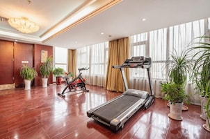 A spacious room with a treadmill, exercise bike, and potted plants.