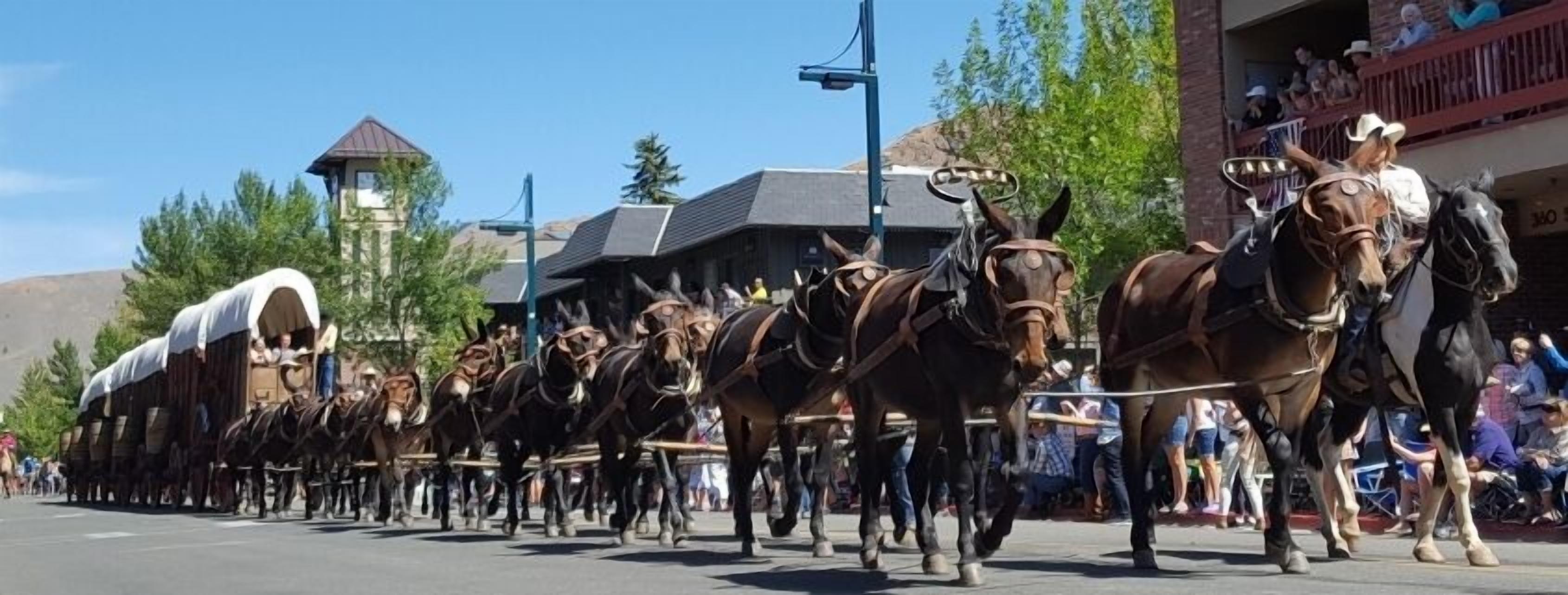 A parade with horse-drawn carriages and riders.