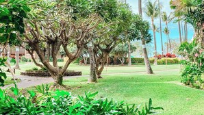 A well-maintained garden with a variety of trees and shrubs, a paved walkway, and a clear sky. - Two Bedroom Garden View Deluxe Luana Kai B102  (Kihei)