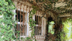 Un edificio con muros cubiertos de hiedra, una reja de hierro forjado y plantas en macetas.