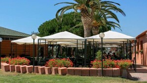 An outdoor seating area with white umbrellas and tables, surrounded by brick planters with red flowers, and a palm tree in the background.