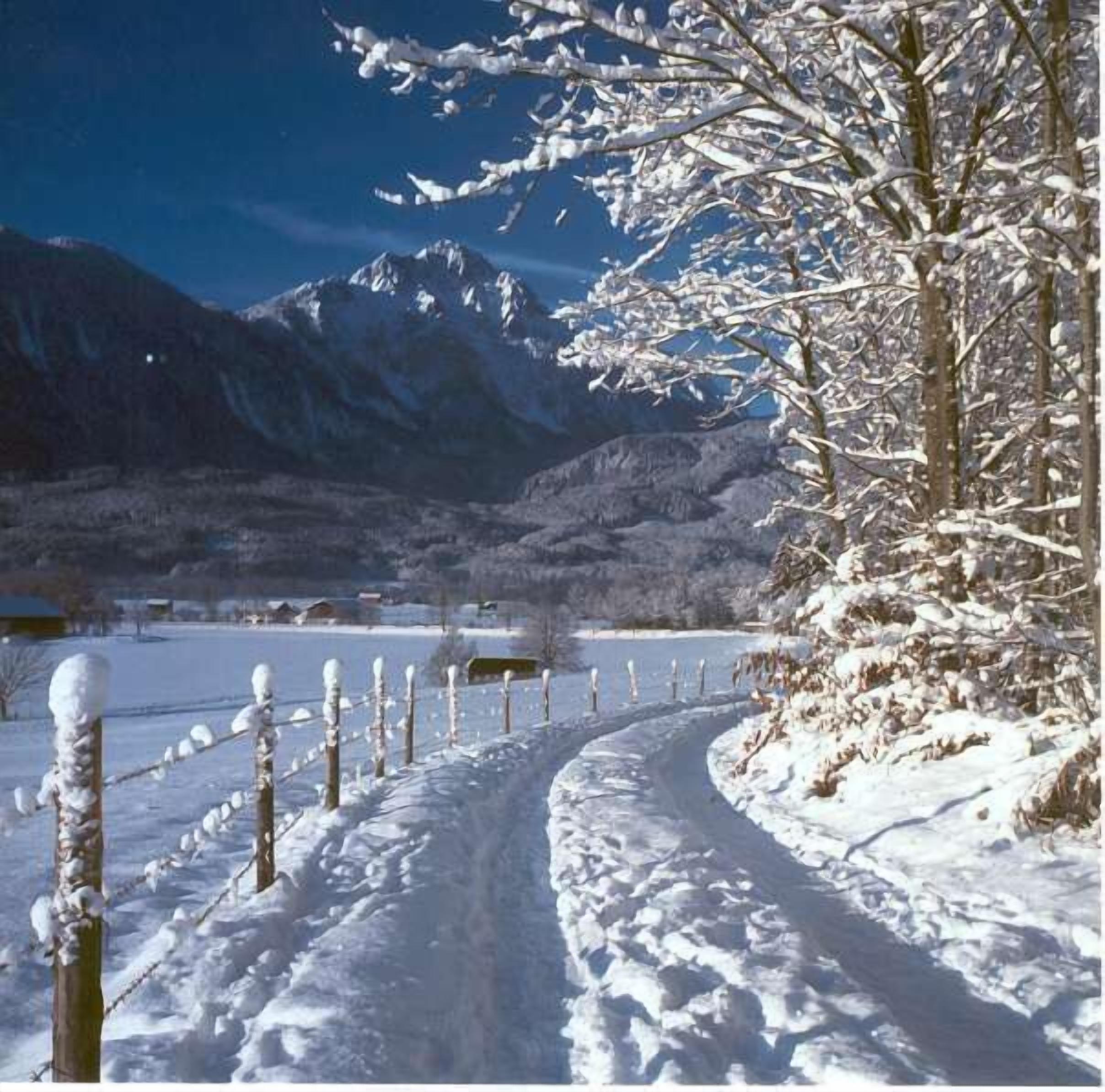 A snow-covered path leading through a mountainous area with a fence on the left and a snow-laden tree on the right.