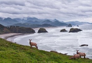 靠近海滩、沙滩毛巾