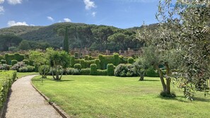 Property grounds - Sant'Anna del Volterraio - I Lecci 6 (Rio dell'Elba)