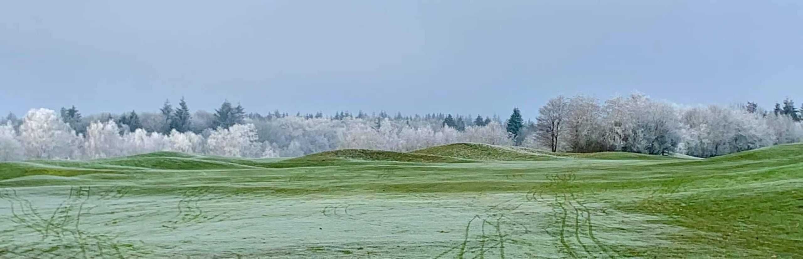 Paesaggio con dolci colline verdi e una fila di alberi sullo sfondo.