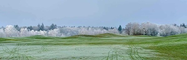 Unclassified image, 1 of 37, button - Appartement Crows Nest - Crow´s Nest (Ankum)
