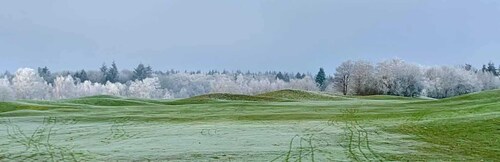Appartement Crows Nest - Crow´s Nest