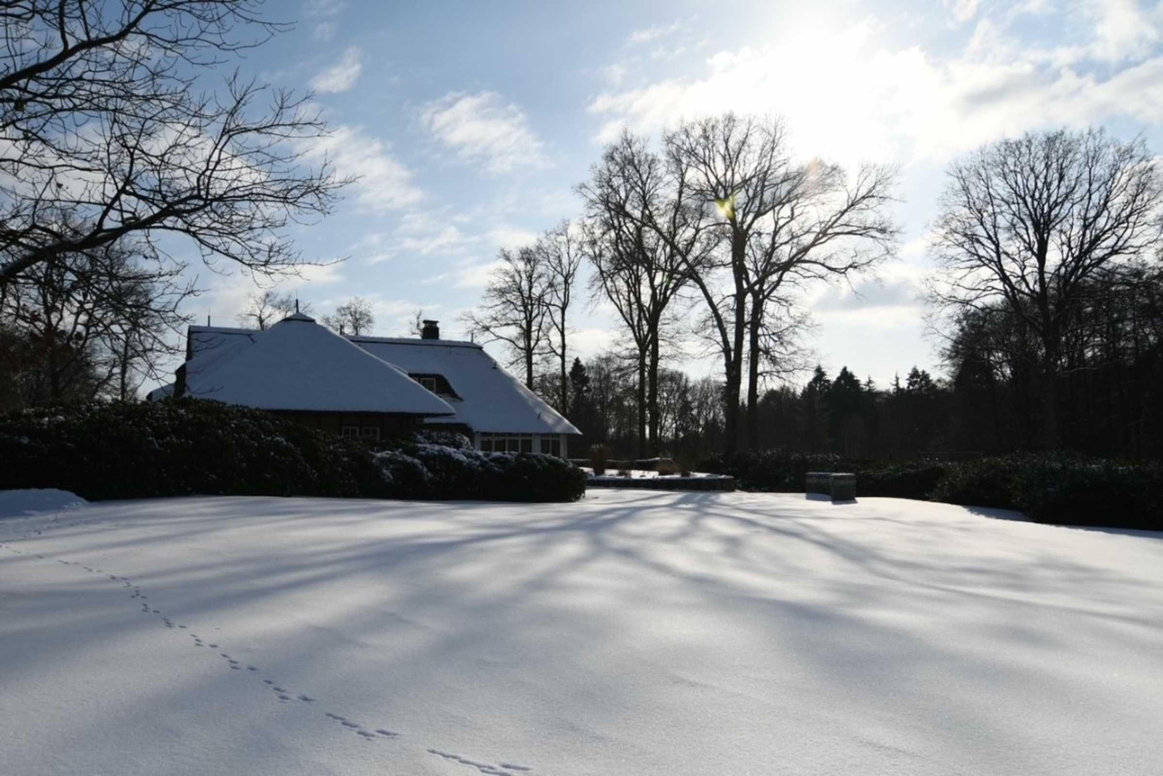 Une route enneigée menant à une maison au toit en pente, entourée d’arbres sans feuilles et sous un ciel dégagé.