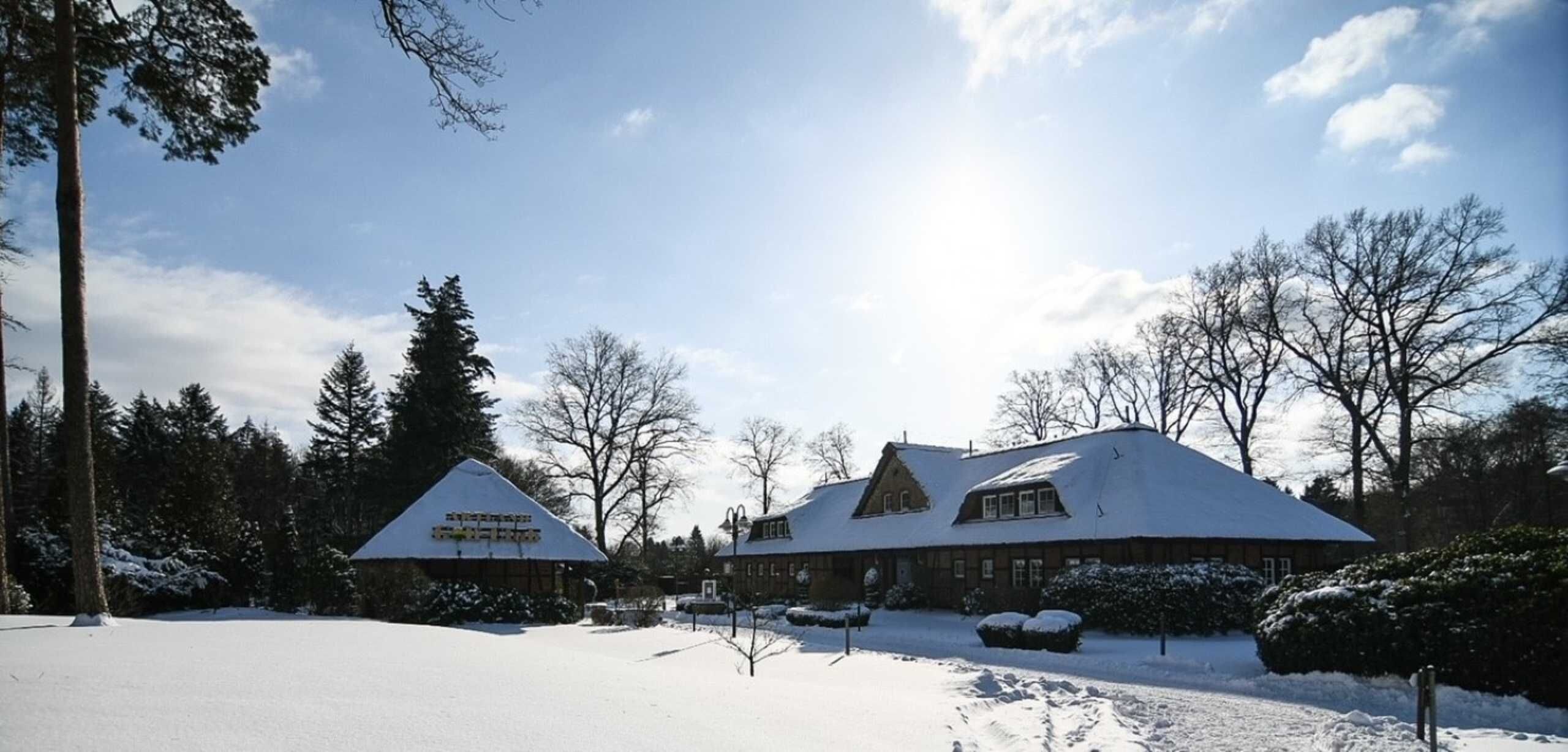 Un chalet dont le toit est recouvert de neige, entouré d’arbres et sous un ciel dégagé.