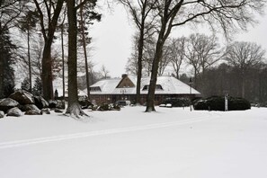 Eksteriør
