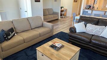 Smart TV, caminetto, lettore DVD, videoteca