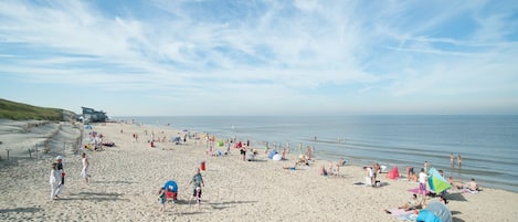 Playa en los alrededores