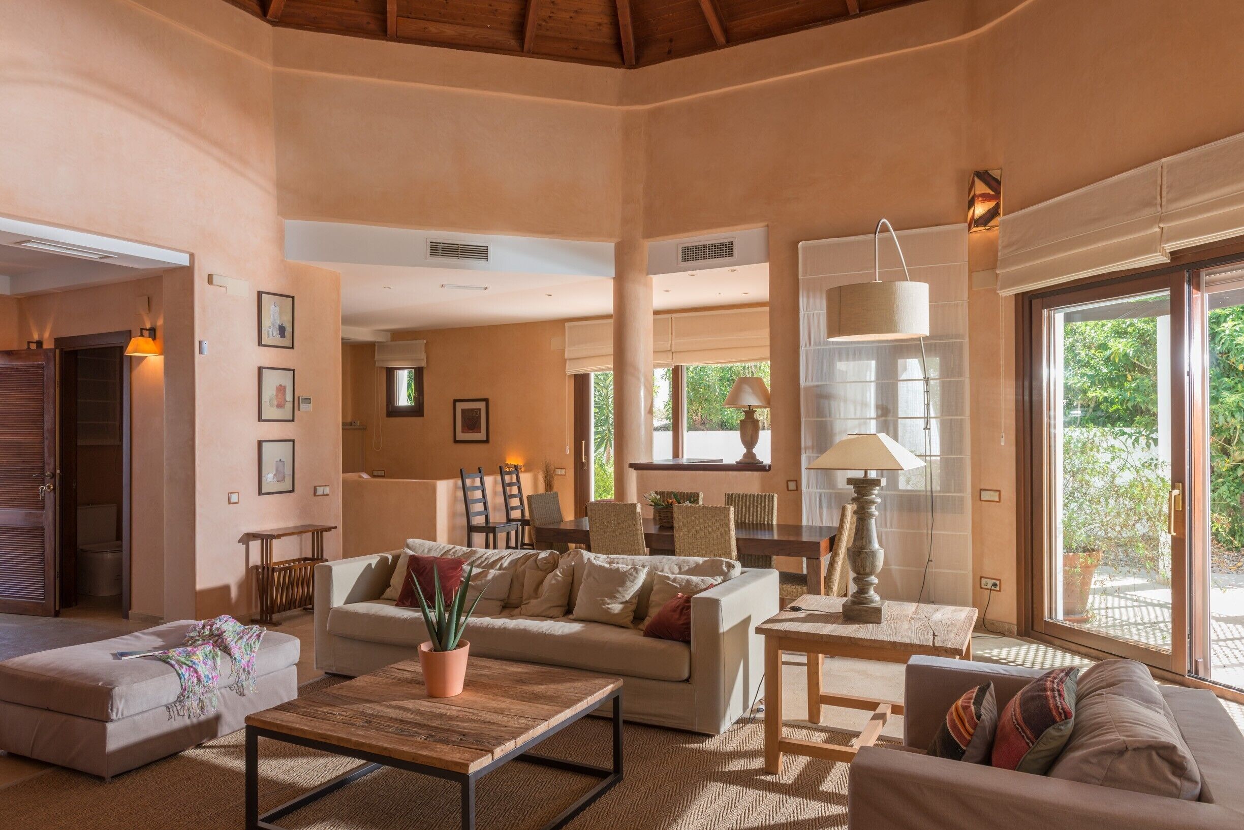 Tv, pejs, dvd-afspiller