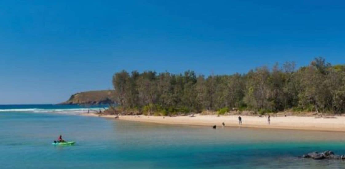 Una playa con agua turquesa cristalina, una orilla arenosa y una hilera de árboles.