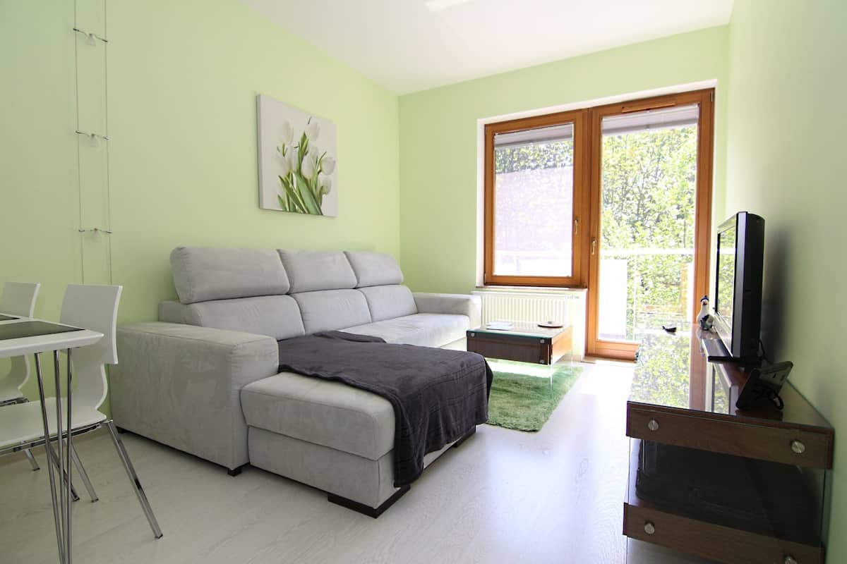 A modern living room with a grey sofa, a small dining table with chairs, a TV on a wooden stand, and a large window with a view of greenery.