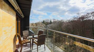 Basic Apartment | Balcony