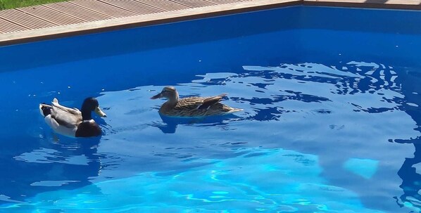 Una piscina riscaldata