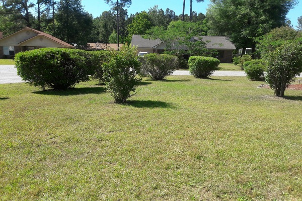 Área da propriedade