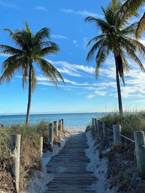 A wooden pathway leading to a beach with palm trees and a clear blue sky.