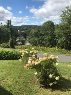A residential area with a well-maintained lawn, a small garden with hydrangea bushes, and a road in the background.
