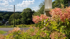 A roadside view with a building, greenery, and a clear sky. - Centrally Located Historical Home (Lee)