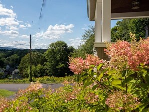 A roadside view with a building, greenery, and a clear sky. - Centrally Located Historical Home (Lee)