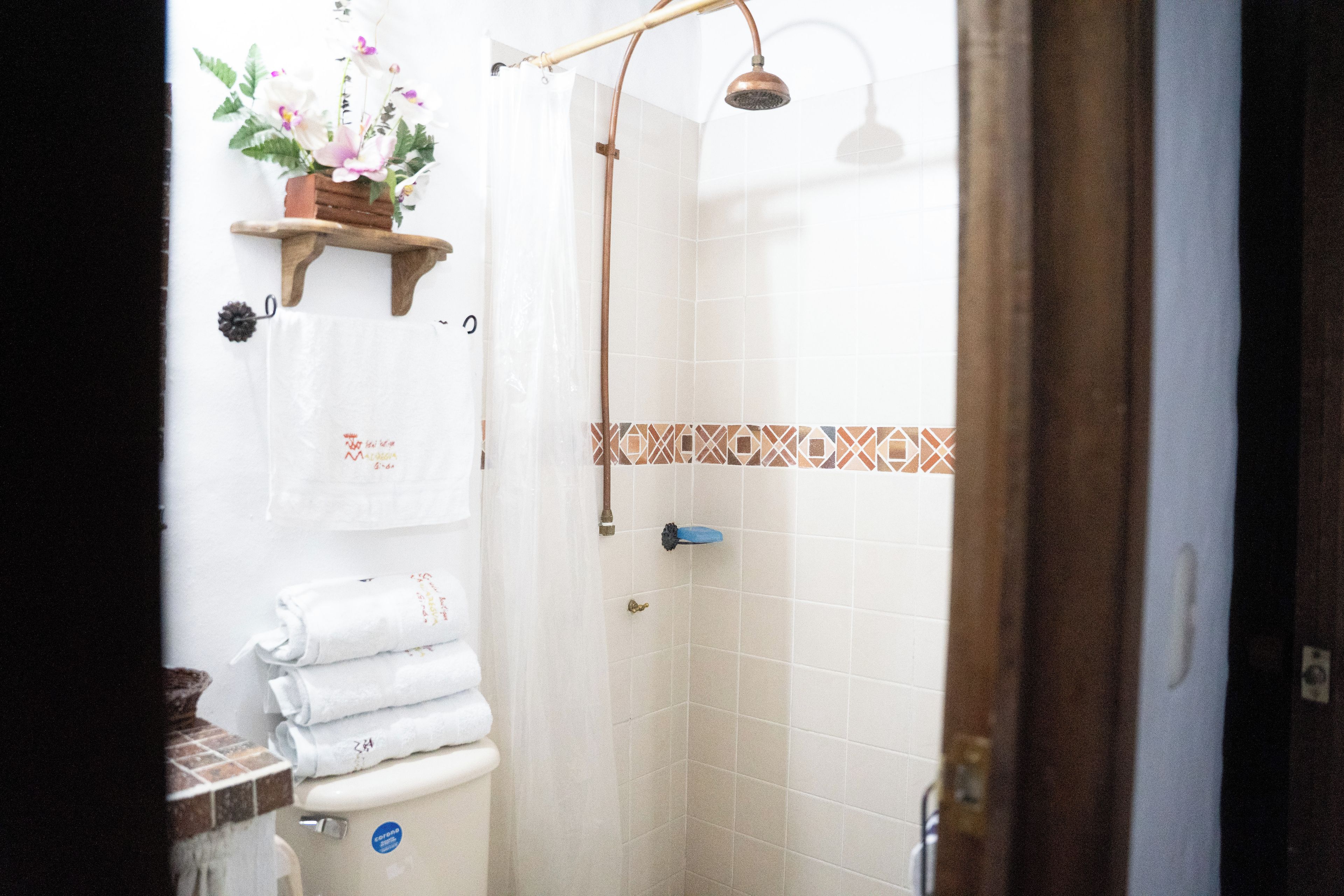 A bathroom with a shower, a toilet, and a sink. There is a towel rack with folded towels and a potted plant on the wall.