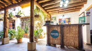 A wooden reception desk with a sign reading "ayenda HOTELS" in a rustic lobby with hanging plants and stone walls.