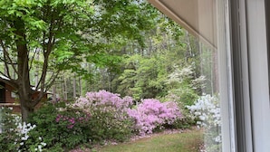Blick auf einen Garten mit verschiedenen blühenden Sträuchern und einer Holzterrasse.