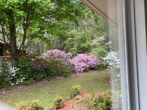 Interior - Home 3 bedrooms 3 baths located in Carolina Trace lake and golf gated community (Sanford)