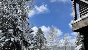 A snowy landscape with trees and a building. - Mountain Retreat with Hot Tub Near State Park (Golden)