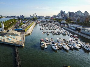 Un port de plaisance où sont amarrés de nombreux bateaux, une grande roue en arrière-plan et le profil de la ville.