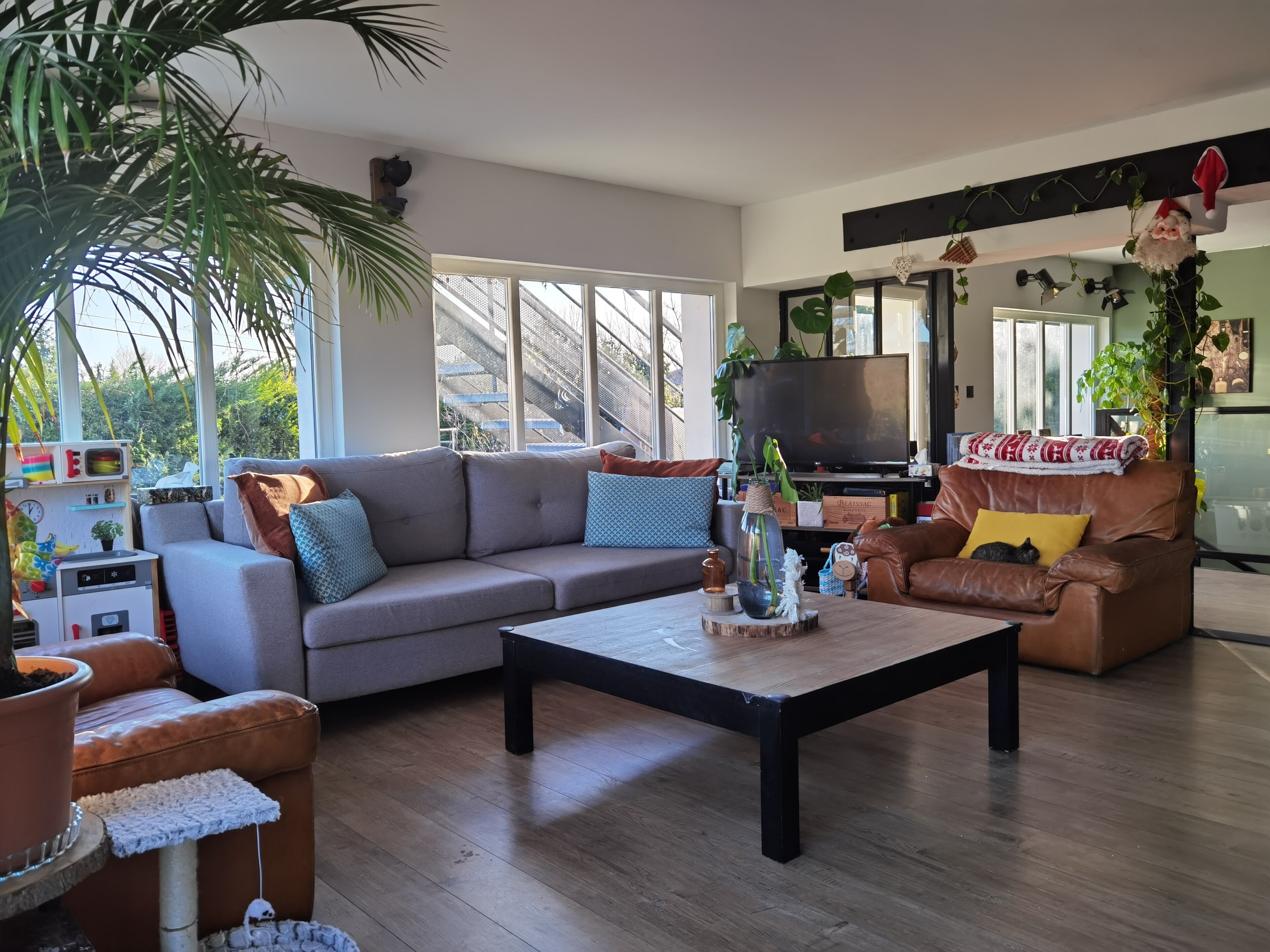 تلفزيون، كُتُب