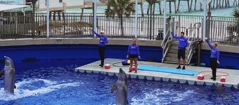 Sea Largo, 🏖 Work, Play & Relax! 4BR Beach Home w/ Fenced Yard + Games