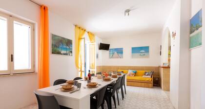 Villa Domy by BarbarHouse