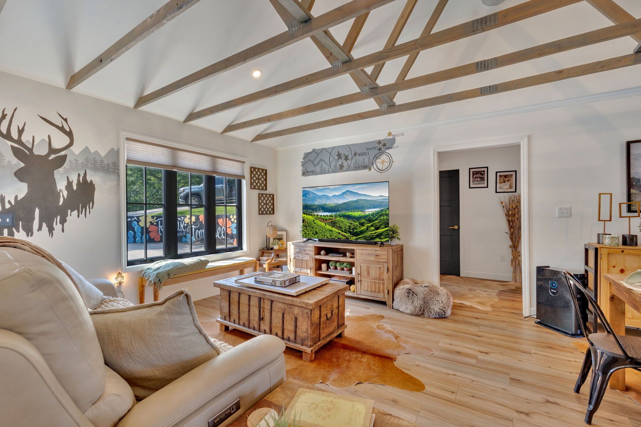 TV connectée, cheminée, chaîne hi-fi